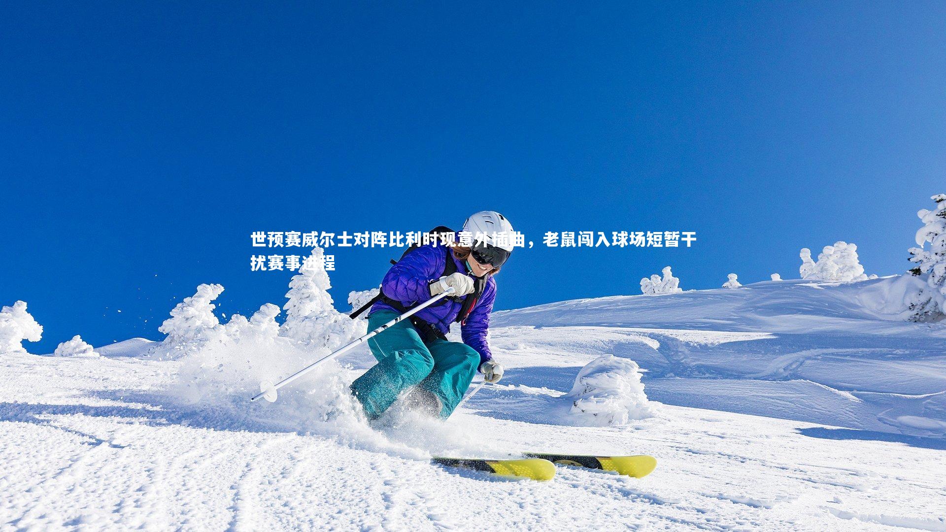 世预赛威尔士对阵比利时现意外插曲，老鼠闯入球场短暂干扰赛事进程